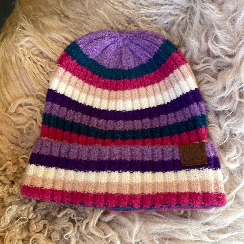 NWOT Knit Striped Beanie